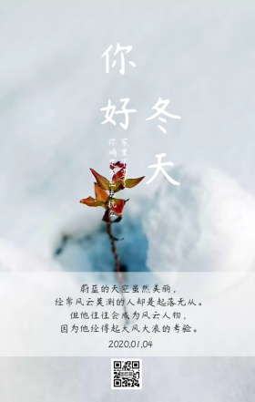 冬天比好背影小提琴日签