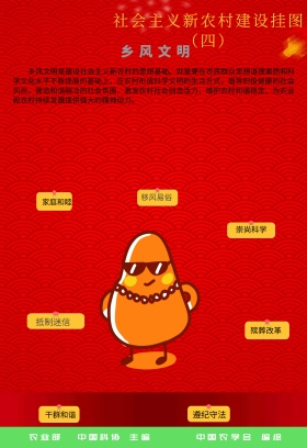 社会主义新农村