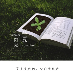 立夏绿叶水滴公众号封面配图