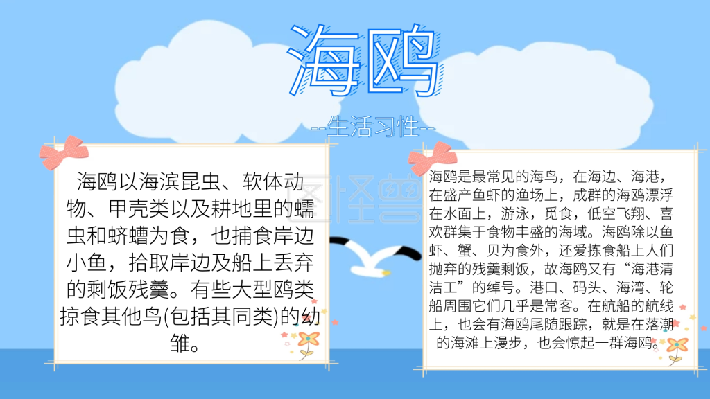 简约天空海鸥手抄报