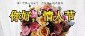 红玫瑰情人节公众号封面