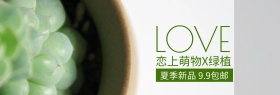 绿植盆栽夏季新品banner图片
