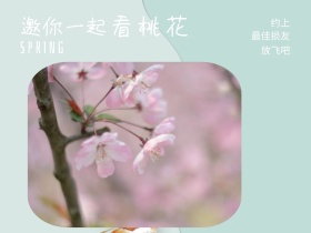 约上 看桃花 放飞吧 邀你一起 最佳损友 SPRING 春天春季春游景色油菜花公众号配图