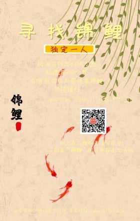 寻找锦鲤福利手机海报