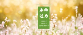 春雨过后 柳枝绿了 桃花笑了 空气变得清新了 春季春天你好公众号封面