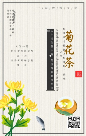 中国传统文化品茶菊花茶