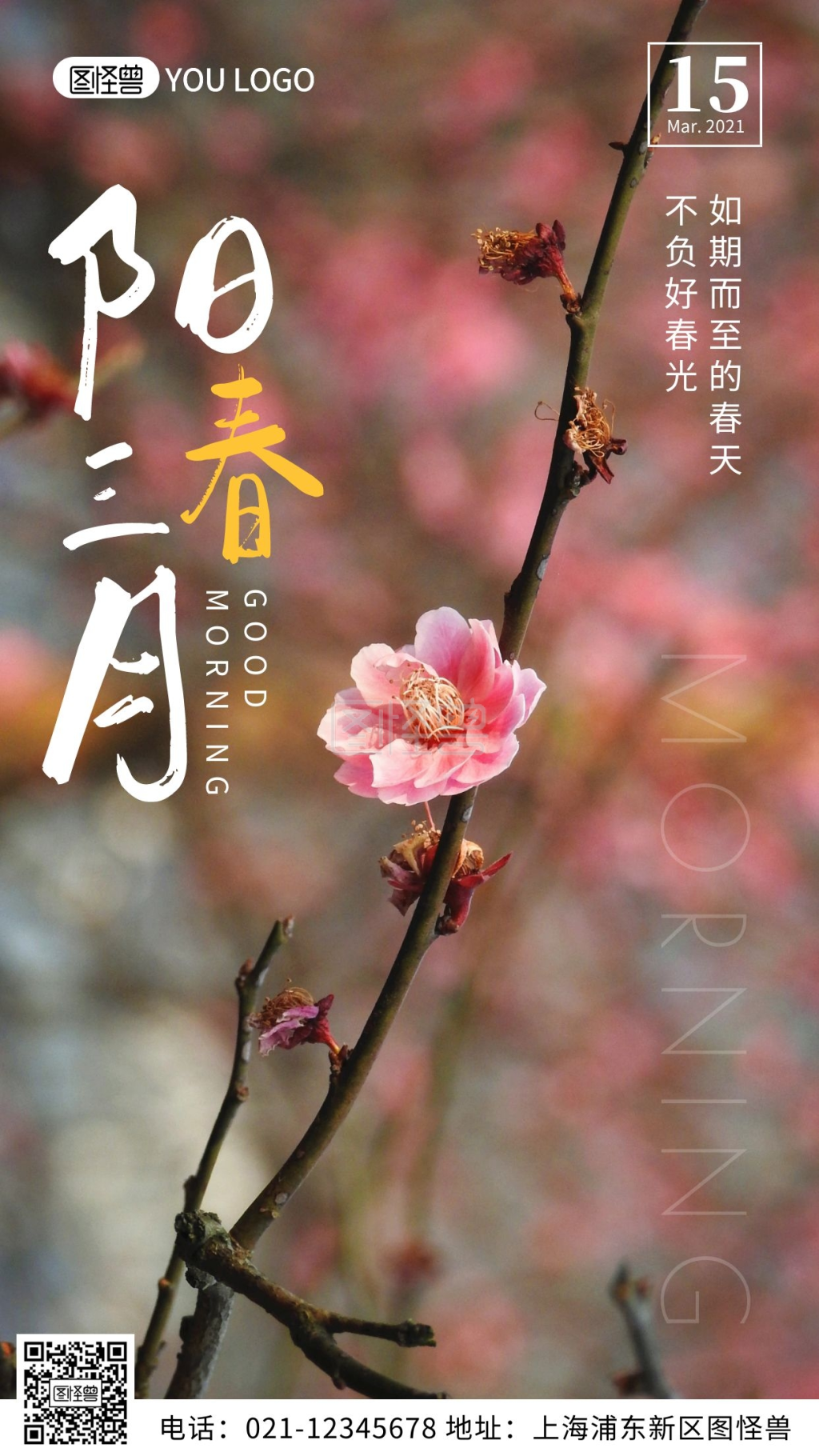 摄影风花朵阳春三月早安问候日签图