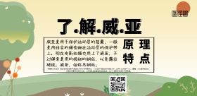 威亚图威压简约宣传印刷横版海报