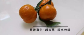 水果公众号封面
