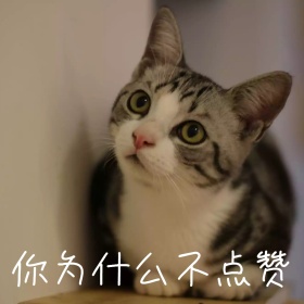 小狗眼神忧郁日常恶搞黄色可爱表情包