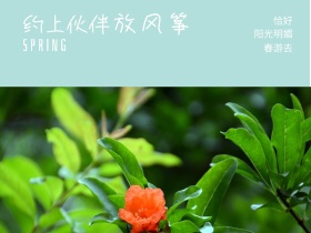 恰好 放风筝 春游去 约上伙伴 阳光明媚 SPRING 春天春季春游景色油菜花公众号配图