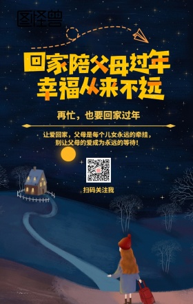 回家过年新年团圆温情手机海报