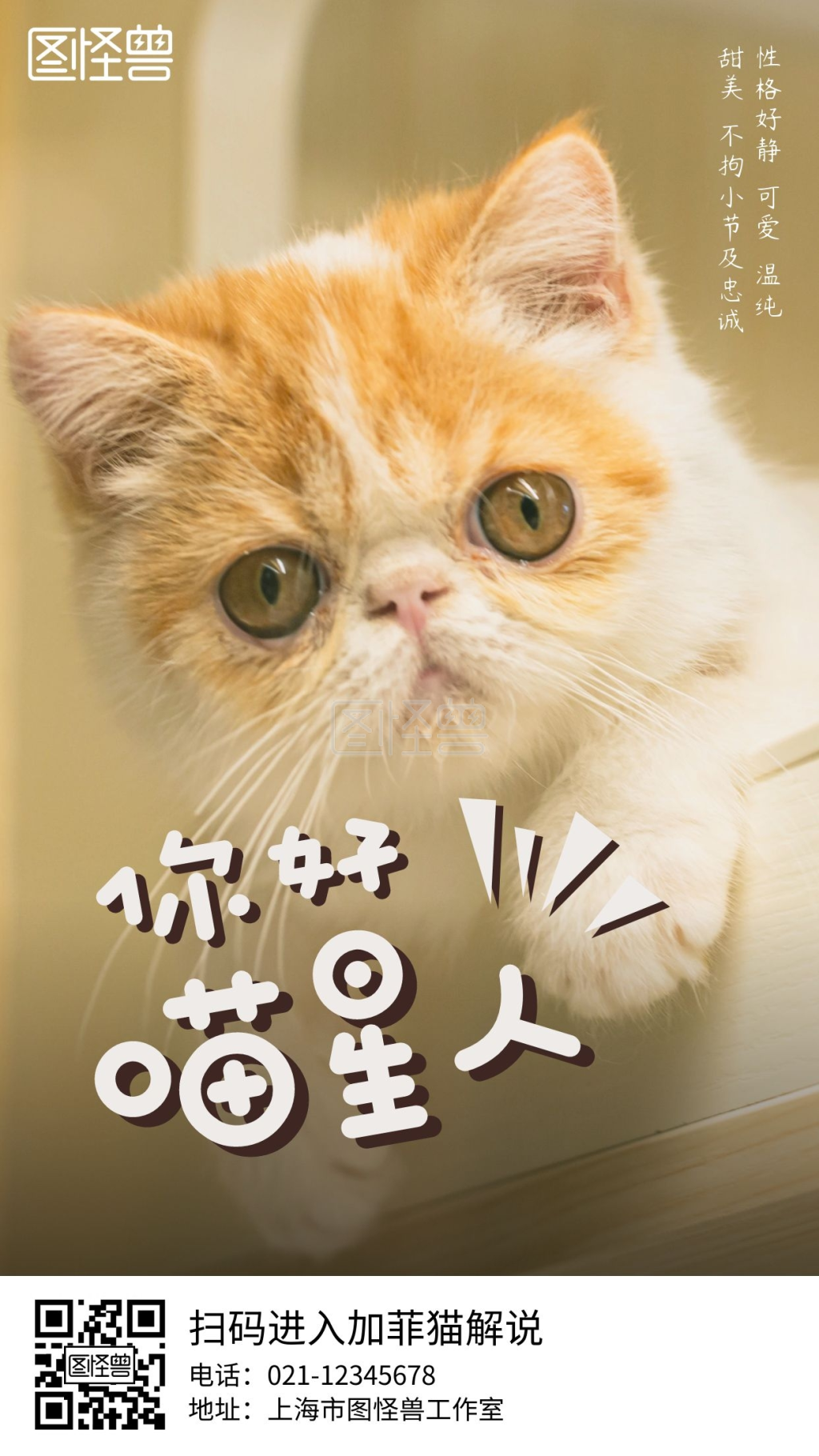 可爱喵星人加菲猫动物科普手机海报