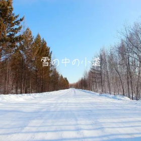 雪中小路手机微博封面