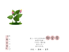 郁金香花语公众号封面图模版