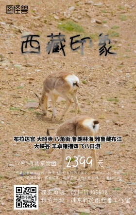 西北西藏手机旅游海报