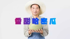 水果类哈密瓜红包公众号封面图