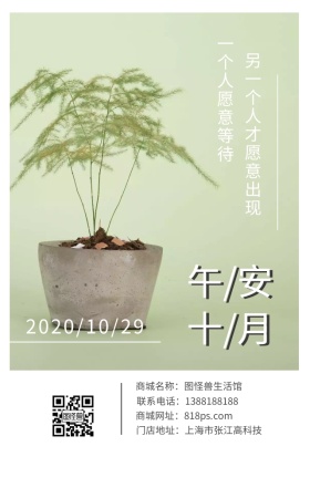午安十月盆栽叶子日签