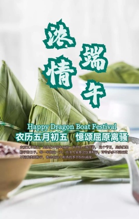 手绘创意粽子尽情放粽端午节手机海报