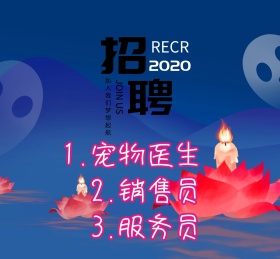 宠物可爱动物招聘诚聘朋友圈封面