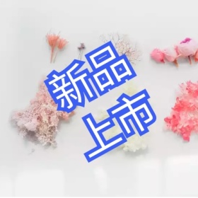 新品上市公众号通用小图片花边封面