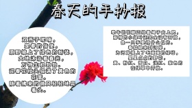 春天的手抄报绿色黑色温暖蝴蝶