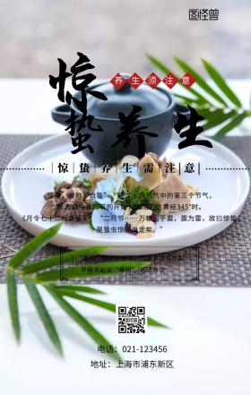 惊蛰节气气候养生中国风简约手机海报