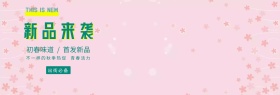 服装网站横幅促销活动banner