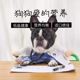 狗粮主图 猫粮主图 主图 宠物