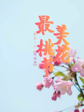 时尚最美桃花节海报梅花背景