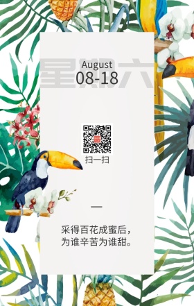 手绘花草意境日签