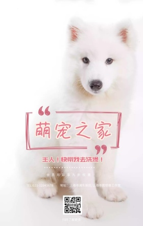 宠物之家会员海报