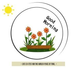 早安文艺清新公众号正方形配图模板