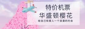 旅游banner 華盛頓櫻花