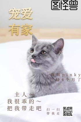 宠物商店狗狗卡通配图