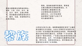 各个民族宣传小报