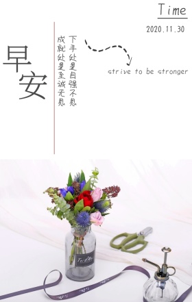 自强不息励志红玫瑰芦苇日签