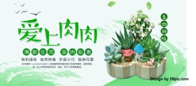 绿色清新绿植盆栽桌面宠物多肉爱上肉肉钜惠banner电商淘宝海报