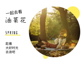 趁着 油菜花 去浪吧 一起去看 大好时光 SPRING 春天春季春游景色油菜花公众号配图