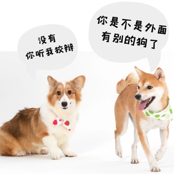 外面有狗可爱表情包