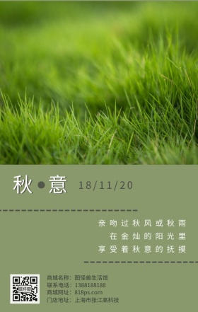 秋天秋意绿草十一月日签