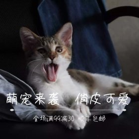 手机壳清新可爱淘宝主图