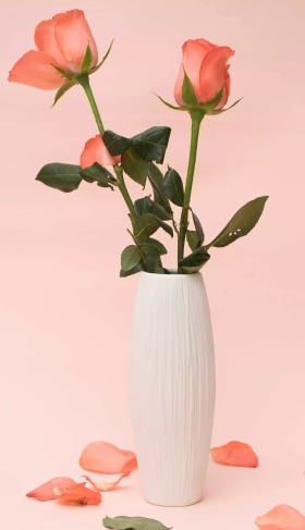 美女花瓶地产素材