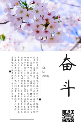 奋斗摄影日签