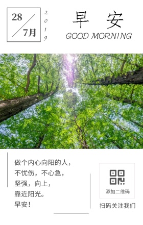 清新摄影风树林激励早安日签