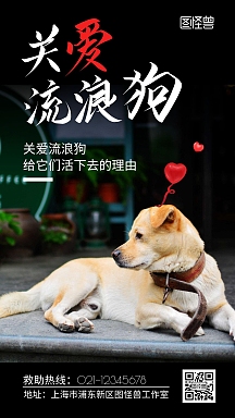 关爱流浪狗黑色创意摄影图公益宣传海报