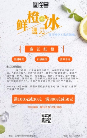 廉江红橙手机海报