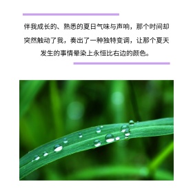 夏日气息文艺小清新公众号正方形配图