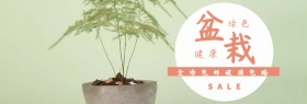 盆栽绿植双十一淘宝促销简约直通车海报