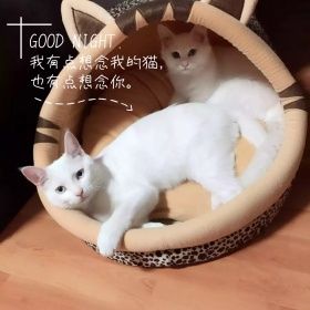 手绘唯美独居生活公众号配图